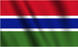 The Gambia flag