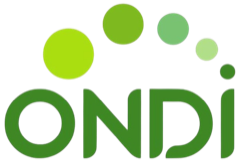 Office for Nigerian Digital Innovation (ONDI)